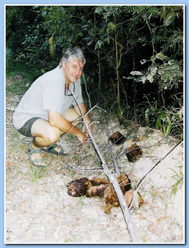 Dung discovery
